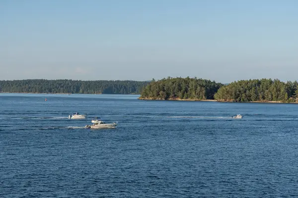 SIDNEY, CANADA - 11 Ağustos 2024: Moresby Geçidi yakınlarındaki Swartz Körfezi 'nden İngiliz Kolombiya motorlu botları
