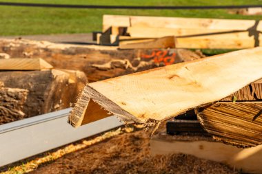 Açı kestikten sonra ağaç dokusuyla ahşap yapı malzemesi