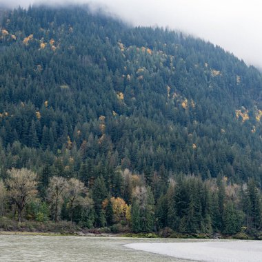 Fraser nehri ve dağları ve bulutları olan ormanın güzel sonbahar manzarası. Manzaralı kırsal alan. Sonbahar doğası