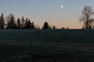 Sabah parkı ve ay doğada alacakaranlık ortamı ya da yeryüzü boş kırsal ve şafak yeşil tarlalı.