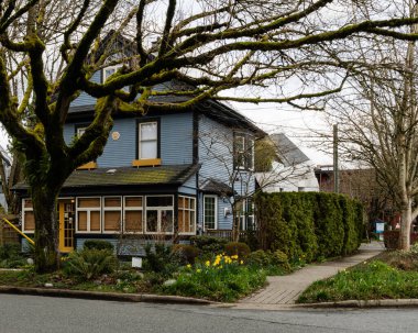 VANCOUVER, CANADA - 22 Mart 2025: Resimli cadde Ağaçların altında İlkbahar Şehir Sokak Binası