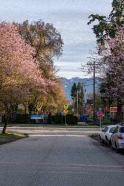 VANCOUVER, CANADA - 26 Mart 2025: Vancouver, Britanya Kolumbiyası 'ndaki boş cadde