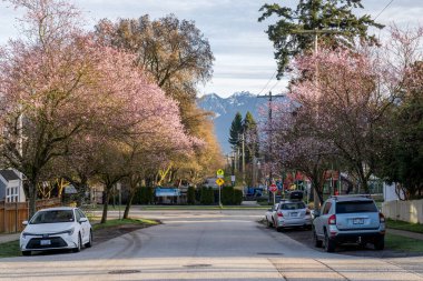 VANCOUVER, CANADA - 26 Mart 2025: Vancouver, Britanya Kolumbiyası 'ndaki boş cadde