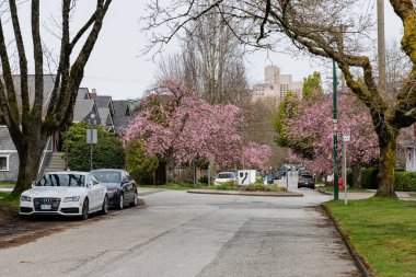 VANCOUVER, CANADA - 30 Mart 2025: Vancouver, Britanya Kolumbiyası 'ndaki boş cadde