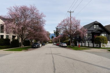 VANCOUVER, CANADA - 30 Mart 2025: Vancouver, Britanya Kolumbiyası 'ndaki boş cadde