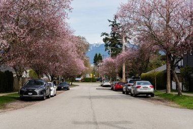 VANCOUVER, CANADA - 30 Mart 2025: Vancouver, Britanya Kolumbiyası 'ndaki boş cadde