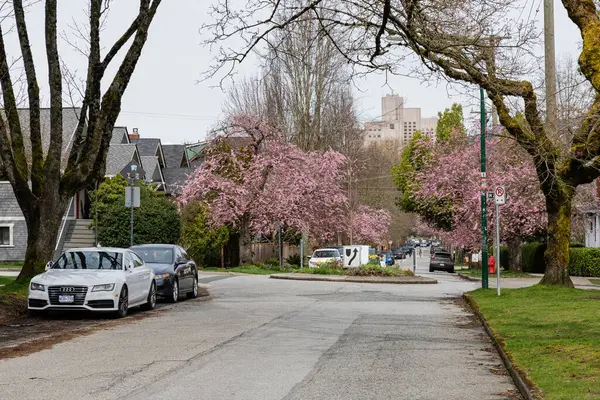 VANCOUVER, CANADA - 30 Mart 2025: Vancouver, Britanya Kolumbiyası 'ndaki boş cadde