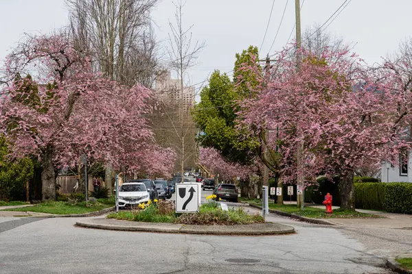 VANCOUVER, CANADA - 30 Mart 2025: Vancouver, Britanya Kolumbiyası 'ndaki boş cadde
