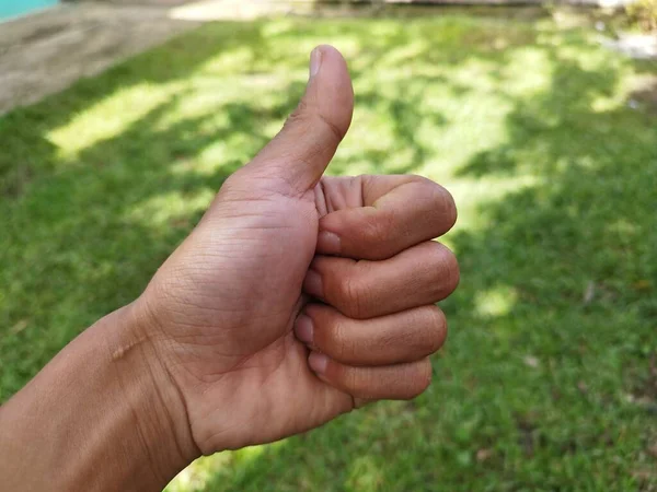 Male left hand isolated on grass background in park (3)