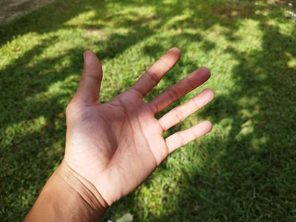 Männliche Linke Hand Isoliert Auf Gras Hintergrund Park — Stockfoto
