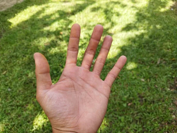 Male left hand isolated on grass background in park (1)