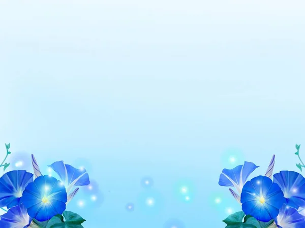 蓝色背景 蓝色花朵 — 图库照片