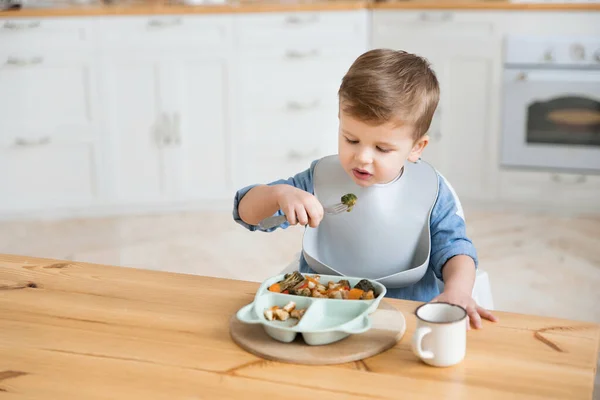 Cute caucasian toddler boy eats broccoli on his own using a fork. Self-feeding concept. BLW. The child eats healthy vegetables with meat on a high chair in the cozy kitchen. Copy space, Mock up.