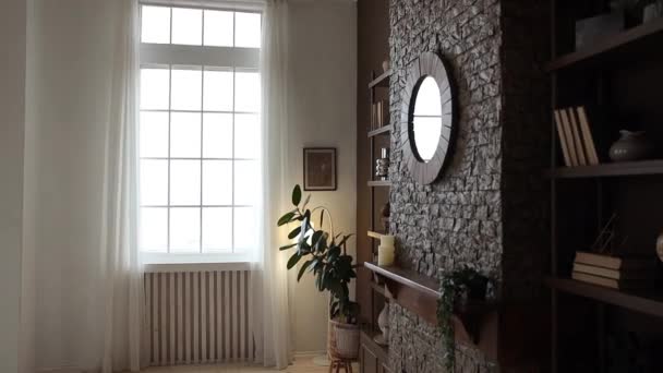 Brown Rack Books Decor Brick Fireplace Mirror Potted Plants Modern — Vídeos de Stock