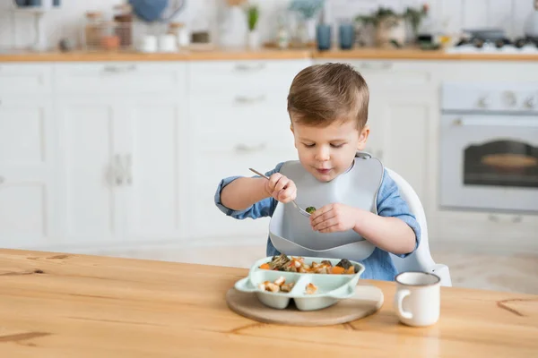 Adorable caucasian toddler boy eats vegetables on his own, pricking them on a fork. The concept of self-feeding. BLW. Child eats healthy vegetables with meat on a high chair. Mock up. Place for text.