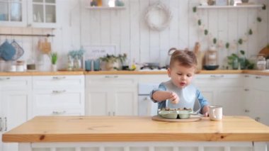 Cute caucasian toddler boy eats vegetables and meat on his own using a fork. Self-feeding concept. BLW. The child eats healthy vegetables with meat on a high chair in the kitchen. Copy space, Mock up.