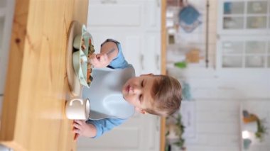Beyaz, tatlı bir çocuk tek başına çatal kullanarak brokoli yiyor. Kendini besleme konsepti. BLW. Çocuk sıcak mutfaktaki yüksek sandalyede etli sağlıklı sebzeler yiyor. Uzayı kopyala, Uygula.
