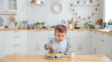 Adorable caucasian toddler boy eats vegetables on his own, pricking them on fork. The concept of self-feeding. BLW. Child eats healthy vegetables with meat on a high chair. Mock up. Place for text.