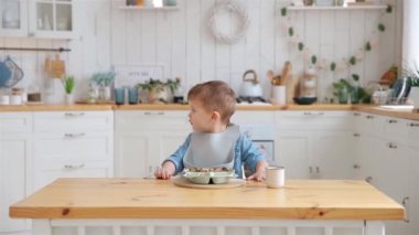 Cute caucasian toddler boy eats vegetables and meat on his own using a fork. Self-feeding concept. BLW. The child eats healthy food on a high chair in the cozy kitchen. Copy space, Mock up.