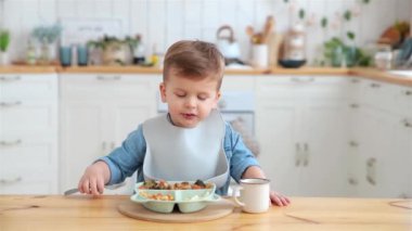 Cute caucasian toddler boy eats vegetables on his own using a fork. Self-feeding concept. BLW. The child eats healthy vegetables with meat on a high chair in the cozy kitchen. Copy space, Mock up.