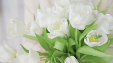 Kadınların elinde narin beyaz lalelerin yakın plan çekimi. İlk bahar çiçeklerinin bir kısmı ellerinde. Çiçekçilik ya da çiçek teslimatı konsepti. Sığ dof.