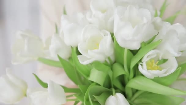 Крупним Планом Знімок Ніжних Білих Тюльпанів Жіночих Руках Букет Перших — стокове відео