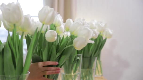 Mulher Irreconhecível Coloca Buquê Tulipas Brancas Frescas Belo Vaso Elegante — Vídeo de Stock