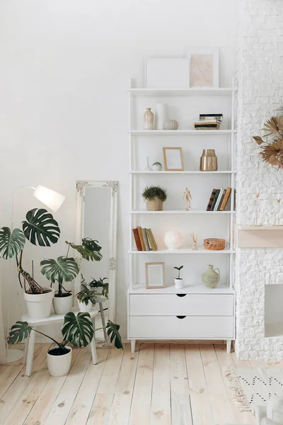 Shelving with books and decor near the fireplace and potted plants in a modern stylish living room. Nobody.