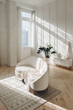 Beyaz deri kanepeli şık beyaz oturma odası. İçerideki büyük pencereler. İç kısımda güneş ışınları var. Evde saksı bitkisi var. Kimse..
