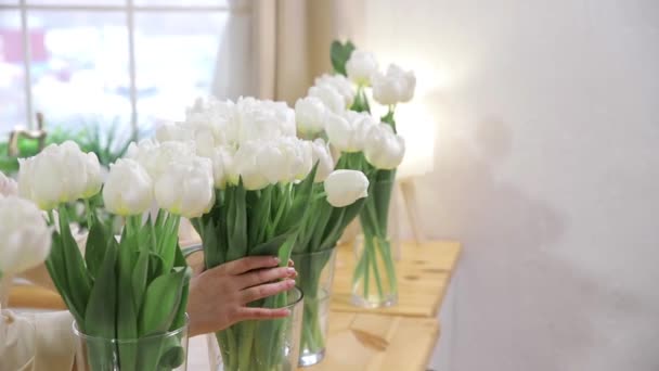 难以辨认的女人把一束新鲜的白色郁金香放进一个漂亮时尚的花瓶里 复制空间 第一批春花的花束 植物学业务或花卉递送的概念 浅丁字裤 — 图库视频影像