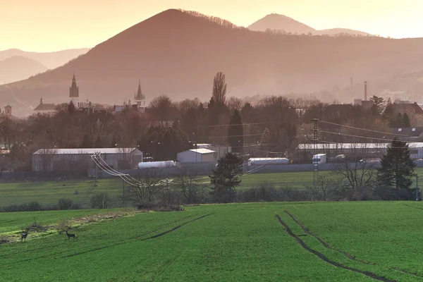 Suburb of a small historic town with an industrial zone, storages, parking trucks, electric power lines, thermal plant, deers on the green agricultural fields and mountains and hills in the sunny background