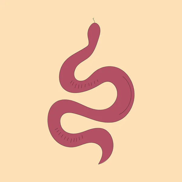 Simboli Serpente Magici Mistici — Vettoriale Stock