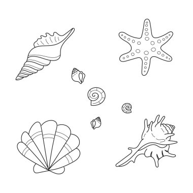 El yapımı şirin bir deniz salyangozu seti.