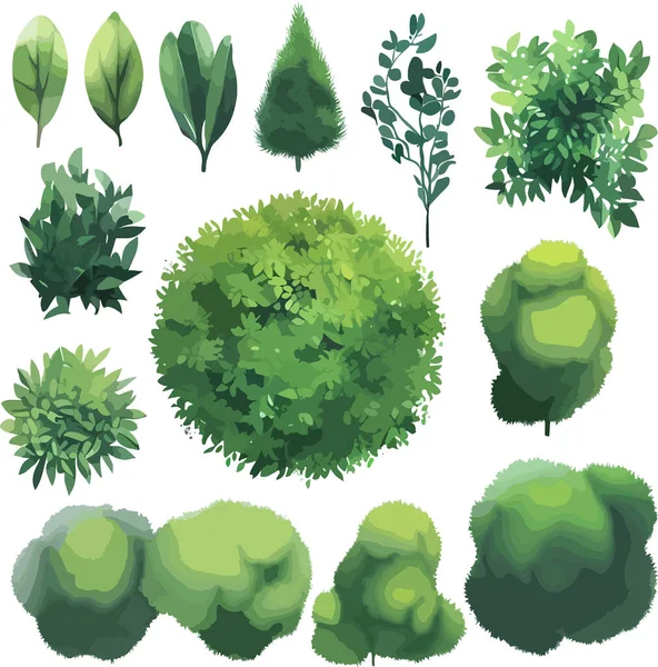 Árboles Hermosos Arbustos Arbustos Vista Superior Vector Ilustración Vectorial — Vector de stock