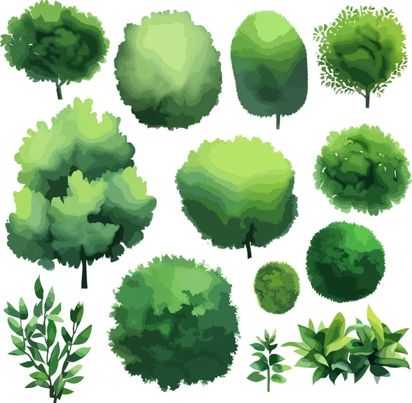 Árvores Lindo Arbustos Arbustos Vetor Vista Superior Ilustração Vetorial — Vetor de Stock