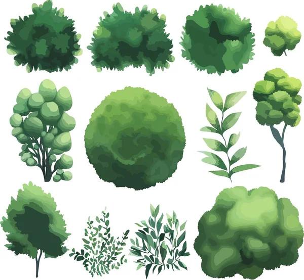 Grandes Árboles Arbustos Arbustos Vista Superior Vector Ilustración Vectorial — Vector de stock