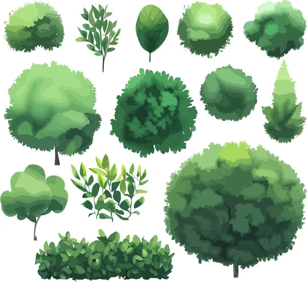 Super Árboles Arbustos Arbustos Vista Superior Vector Ilustración Vectorial — Vector de stock