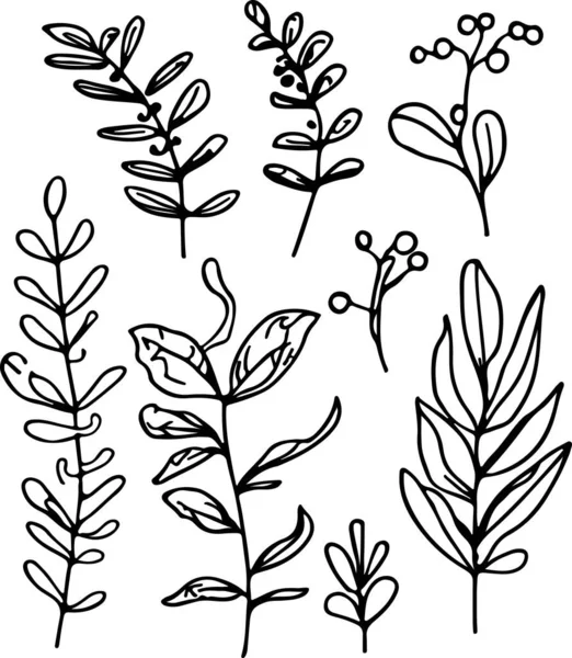かなり手描きのライン森林植物ベクトル ベクターイラスト — ストックベクタ