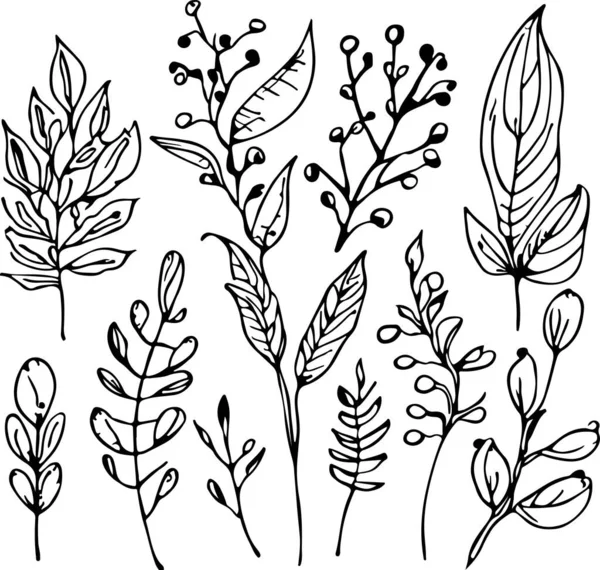 臨時手描きライン森林植物ベクトル ベクターイラスト — ストックベクタ