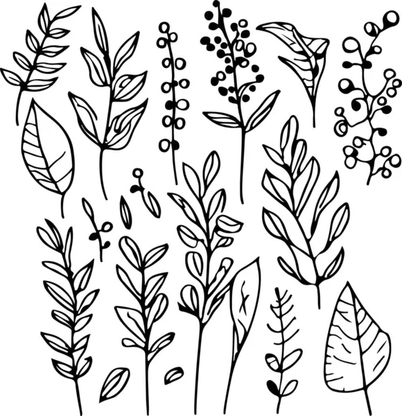 驚くべき手描きのライン森林植物ベクトル ベクターイラスト — ストックベクタ
