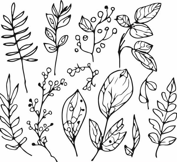 手描きのライン森林植物ベクトルを呼吸 ベクターイラスト — ストックベクタ
