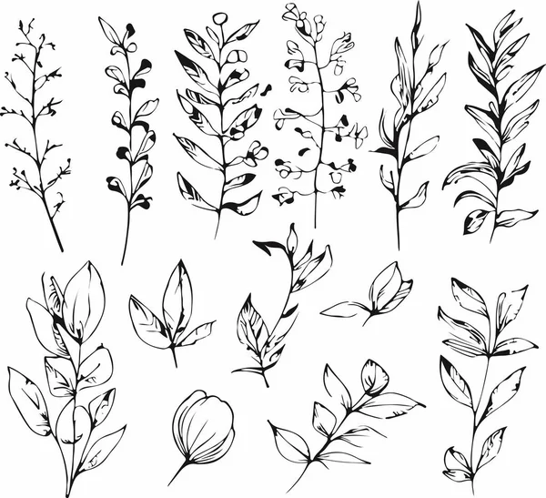 信じられないほどの手描きのライン森林植物ベクトル ベクターイラスト — ストックベクタ