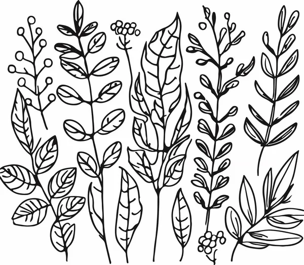 美しい手描きの線の森の植物ベクトル ベクターイラスト — ストックベクタ