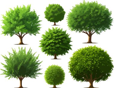 Harika orman ağaçları çalılar sanat taşıyıcıları yetiştirir. Vektör illüstrasyonu