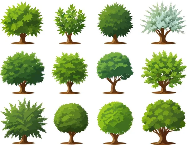 Great Forest Trees Bushes Plants Art Vector Vector Illustration — Stock Vector