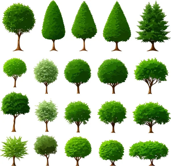 İnanılmaz orman çalıları sanat vektörleri yetiştirir. Vektör illüstrasyonu