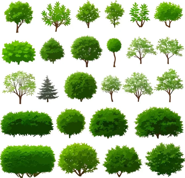 Beautiful Forest Trees Bushes Plants Art Vector Vector Illustration — Stock Vector