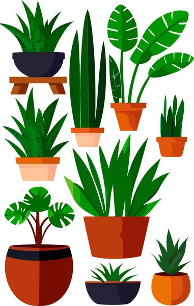 Telles Belles Plantes Intérieur Pot Fleurs Illustration Vectorielle — Image vectorielle