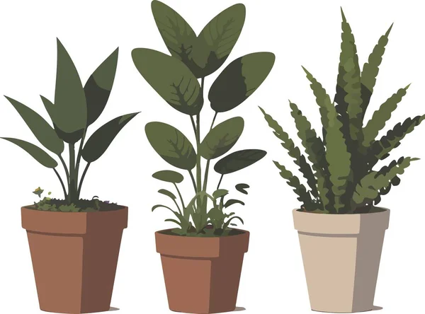 Pretty Cuteness Plants Flower Pot Vector Illustration — Stock Vector