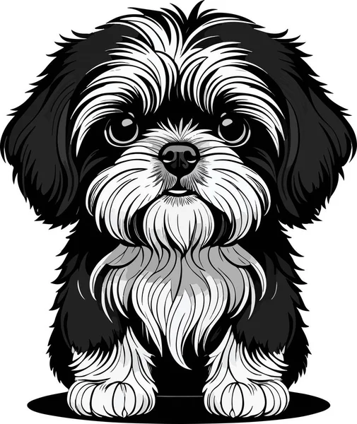 Gran Encantador Arte Cachorro Shih Tzu Ilustración Vectorial — Vector de stock